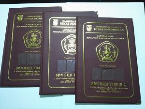 MAP RAPORT KEC. BEJI TIMUR