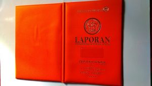 Map Raport Paud Tunas Vignolia