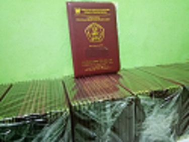 map-raport-sdn-pajagan (4)