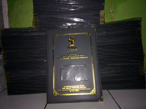 map raport smpit auliya